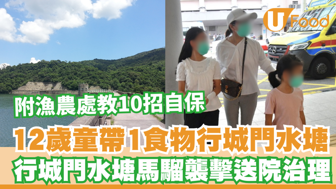 12歲童帶1食物行城門水塘 遇馬騮抓傷左臂送院治理 附漁農處教10招自保 