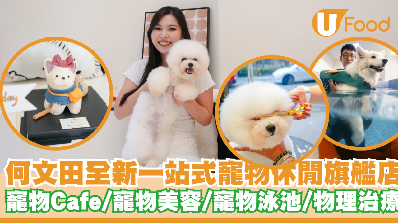 何文田全新一站式寵物休閒旗艦店開幕！集齊寵物Cafe／寵物美容／寵物泳池／物理治療／寵物酒店