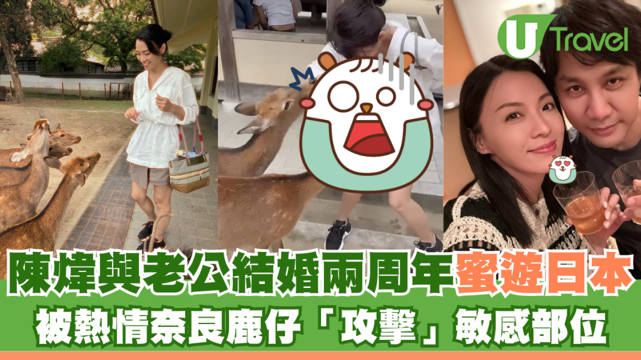 陳煒與老公結婚兩周年蜜遊日本 被熱情奈良鹿仔「攻擊」敏感部位