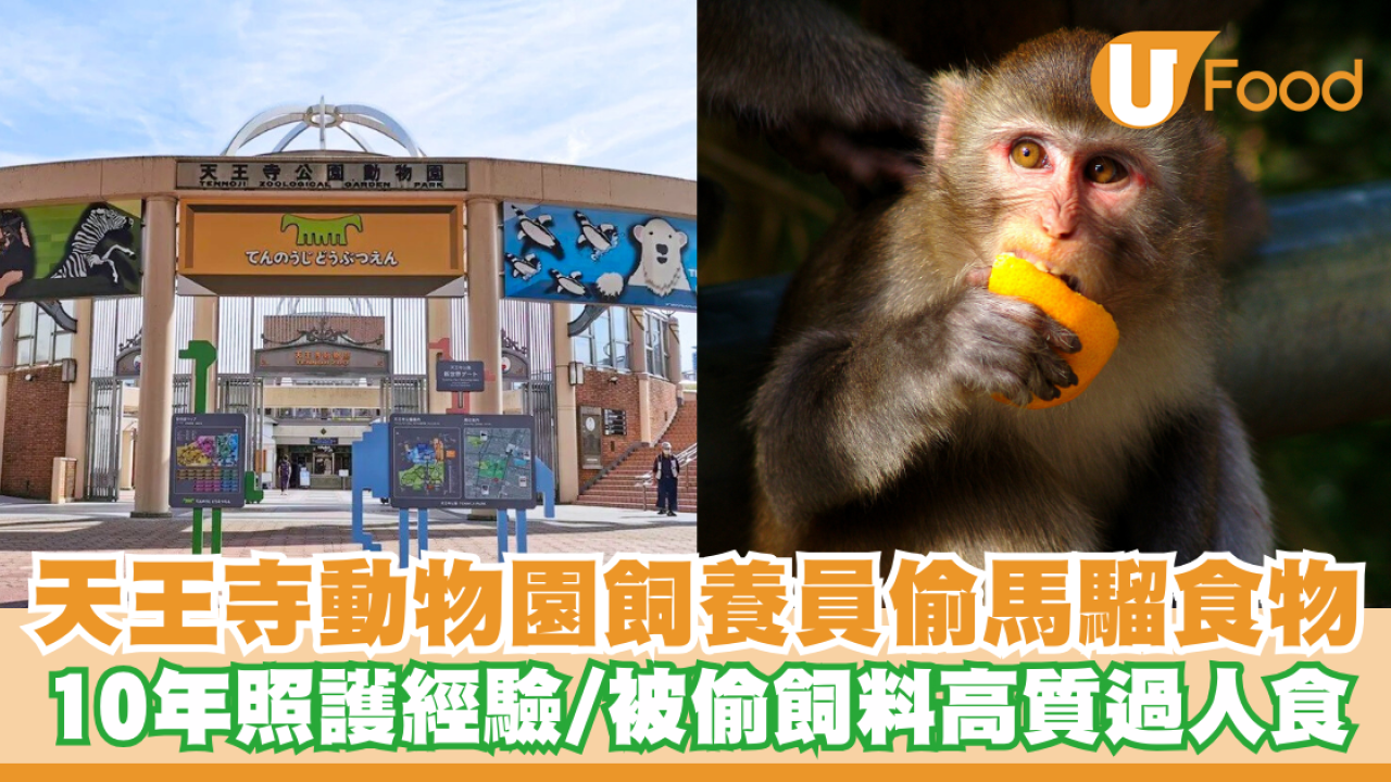 日本大阪天王寺動物園47歲飼養員偷馬騮食物！10年照護經驗／被偷飼料高質過人食