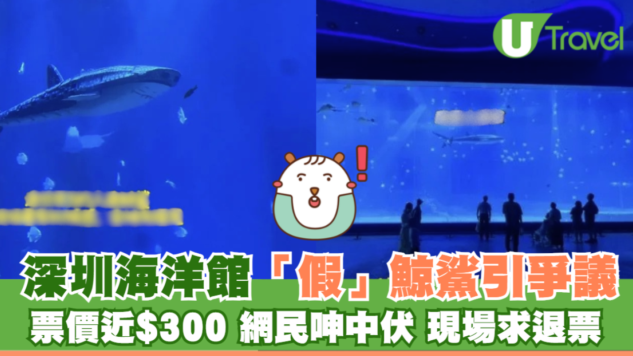 深圳小梅沙海洋世界「假」鯨鯊引爭議 網民呻中伏 現場求退票