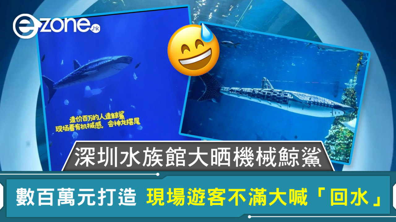 深圳水族館大晒機械鯨鯊 數百萬元打造 現場遊客不滿大喊「回水」