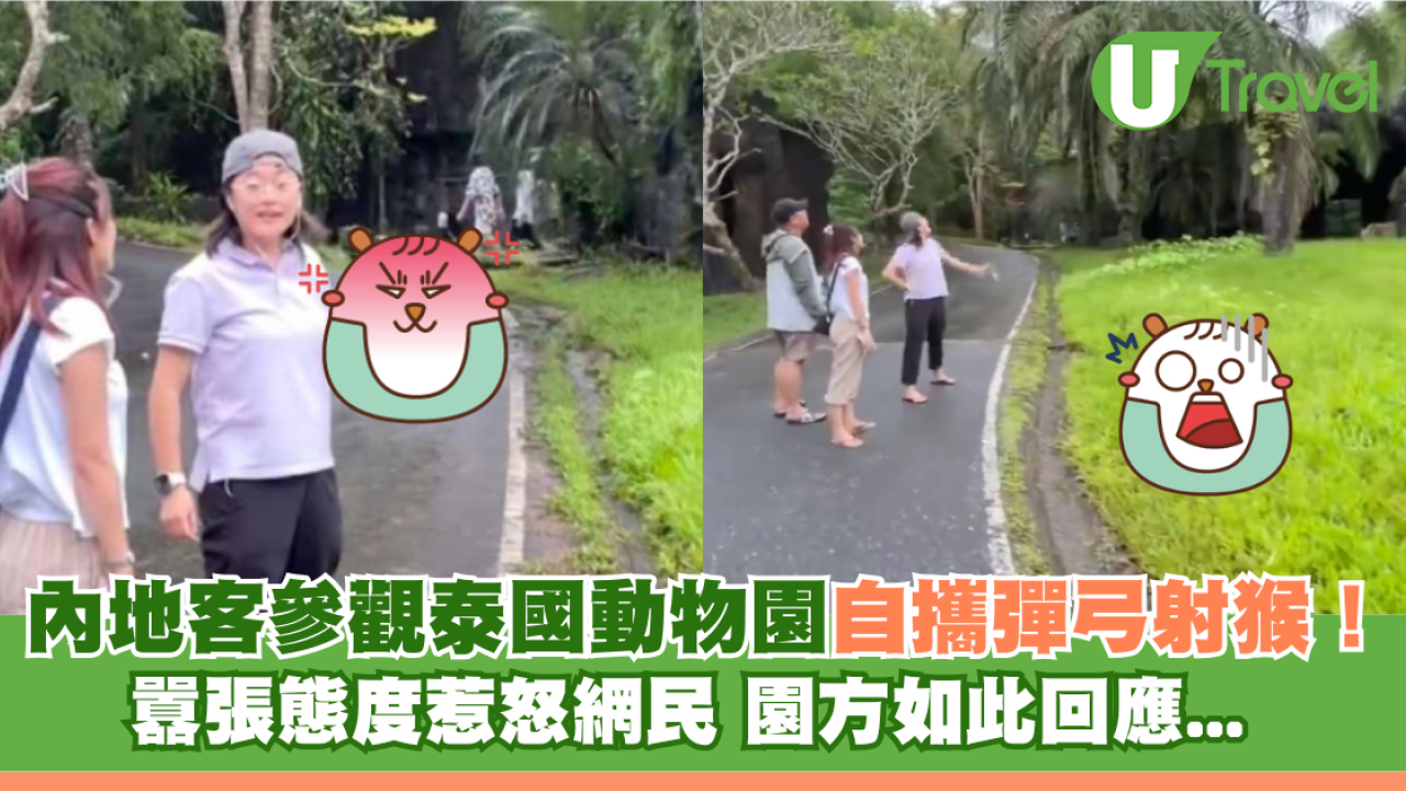 內地客參觀泰國動物園自攜彈弓射猴！囂張態度惹怒網民 園方如此回應...