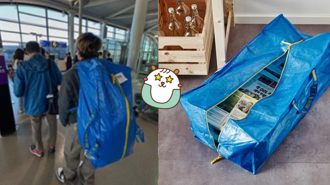 IKEA一款袋成HK Express登機神物！$29.9買到！網民：點都要買返個