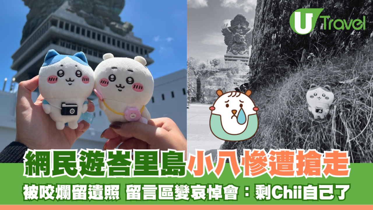 網民遊峇里島小八慘遭搶走 被咬爛留遺照 留言區變哀悼會：剩Chii自己了