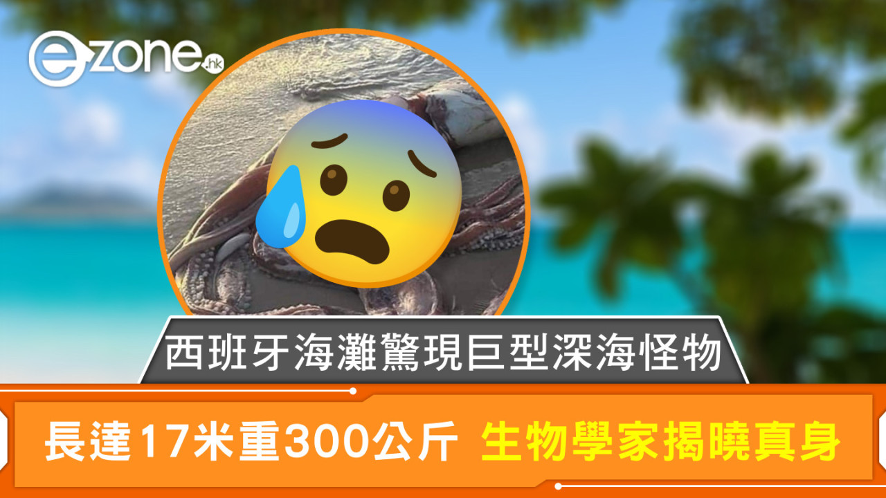 西班牙海灘驚現巨型深海怪物 長達17米 重300公斤 生物學家揭曉真身