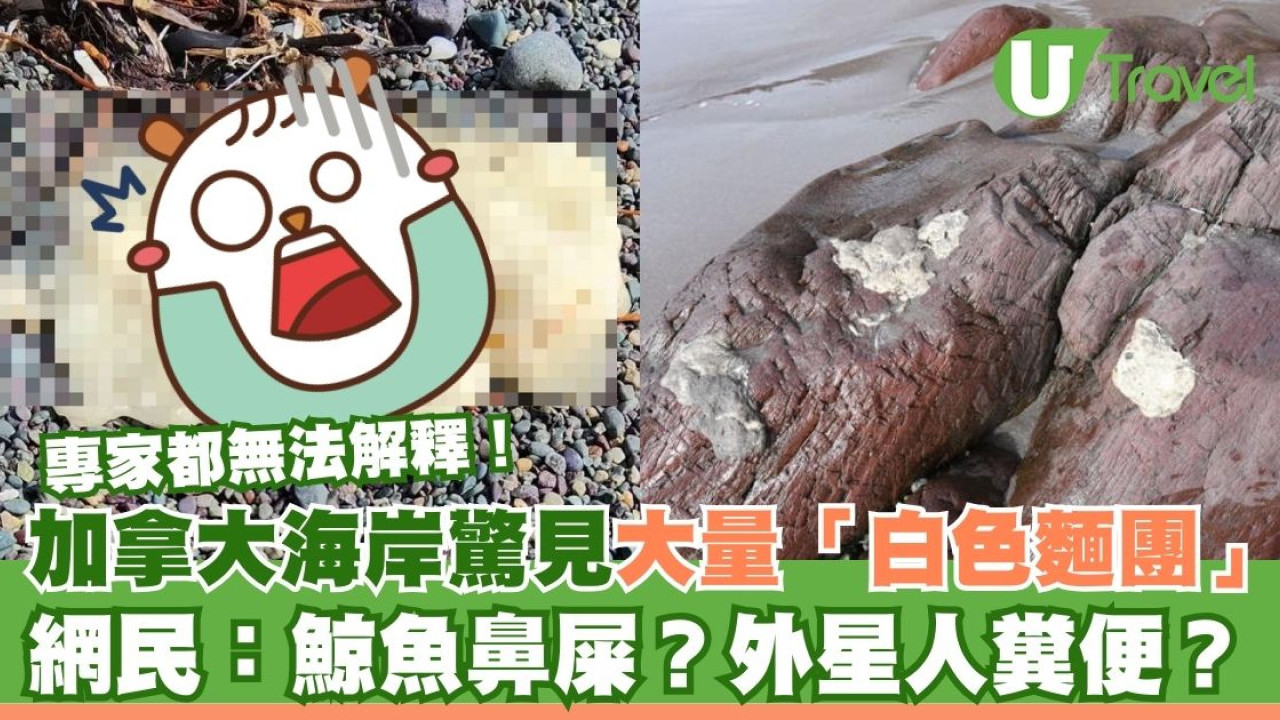 加拿大海岸驚見大量「白色麵團」 專家都無法解釋！網民：鯨魚鼻屎？外星人糞便？