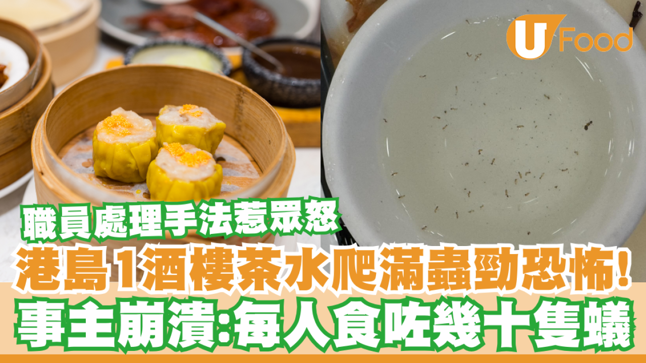 港島1酒樓茶水爬滿蟲！事主崩潰：每人食咗幾十隻蟻／職員處理手法惹眾怒