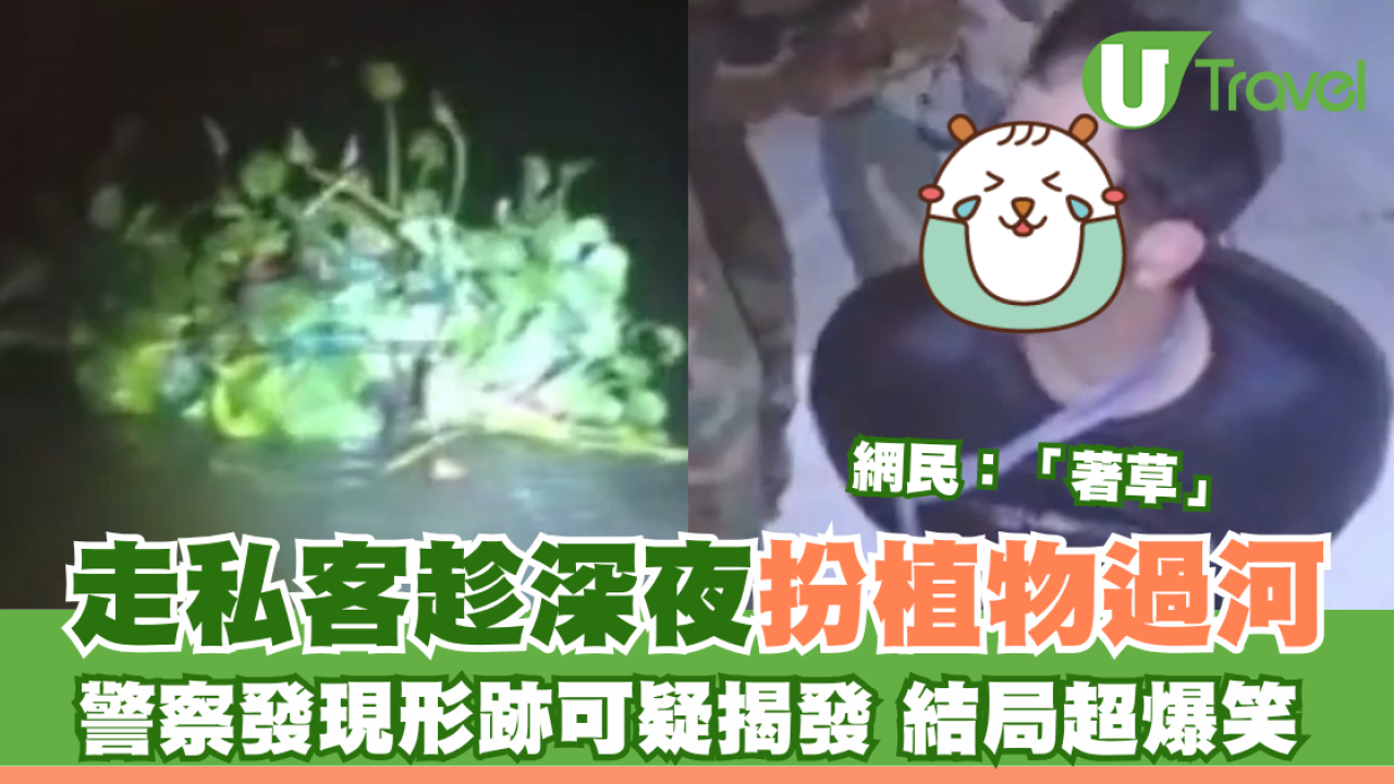 走私客趁深夜扮植物過河 警察發現形跡可疑揭發 結局超爆笑 