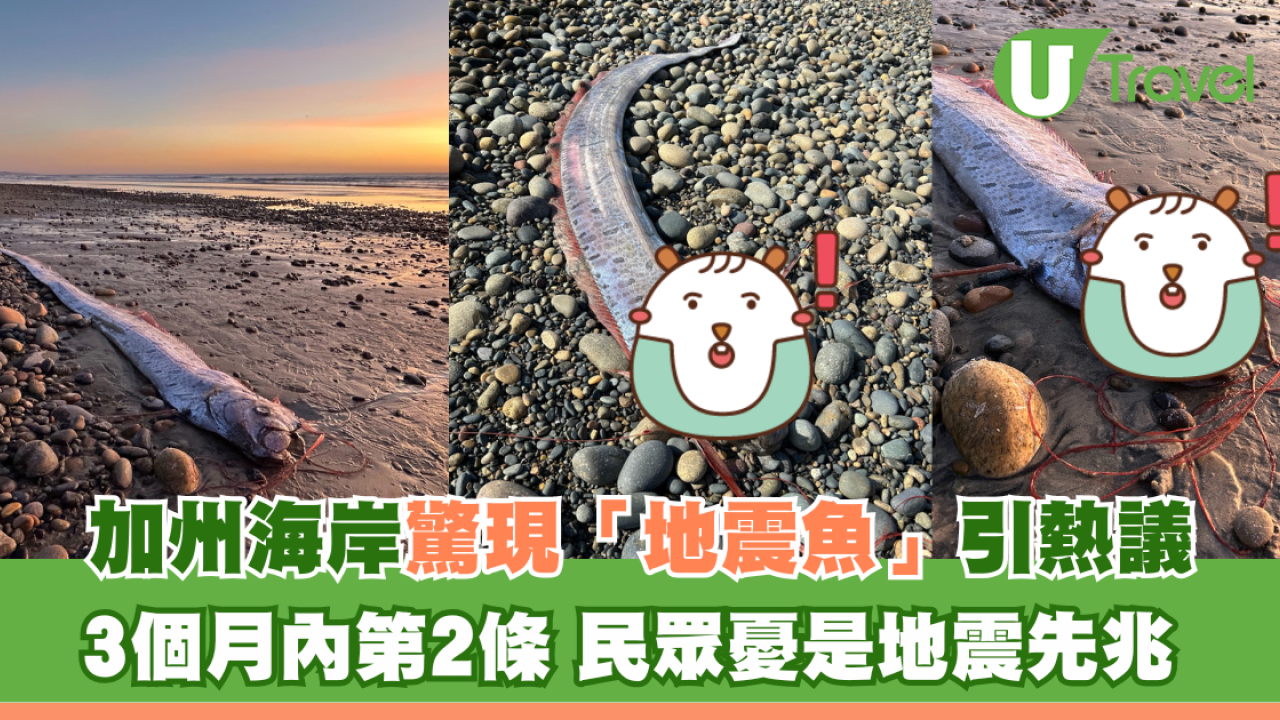 加州海岸驚現「地震魚」引熱議 3個月內第2條 民眾憂是地震先兆