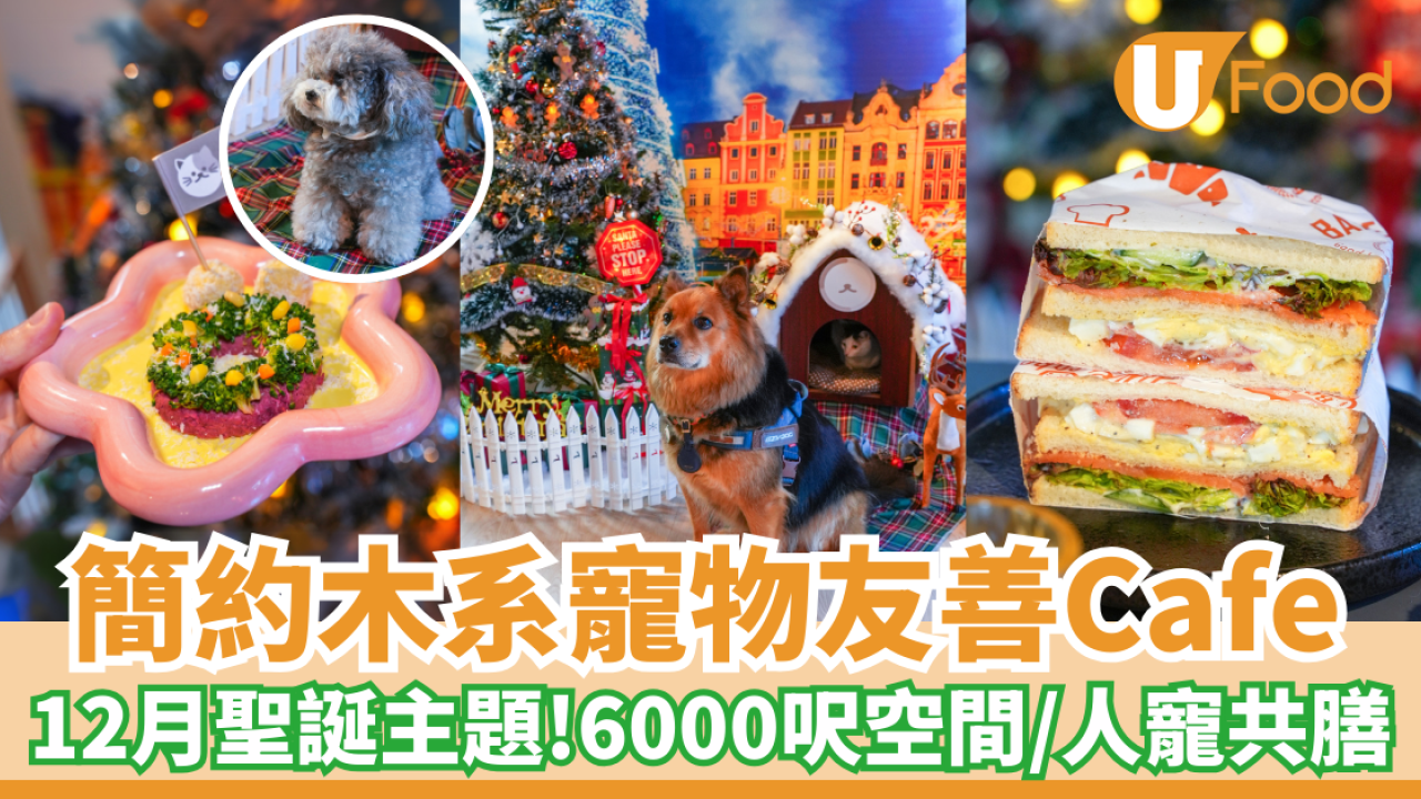 元朗簡約式寵物友善Cafe｜12月限定聖誕主題！6000呎空間／人寵共膳