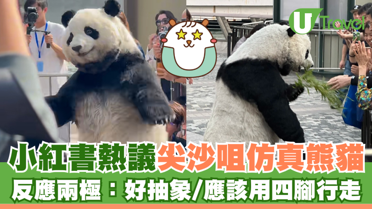 小紅書熱議尖沙咀仿真熊貓 反應兩極：好抽象/應該用四腳行走