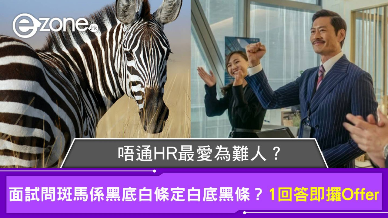 唔通HR最愛為難人？面試問斑馬係黑底白條定白底黑條？求職者1回答即攞Offer