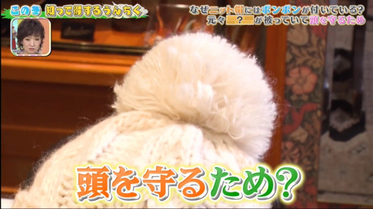 冷帽毛球原來不只是裝飾？設計源於歐洲水手 真實用途或救你一命！