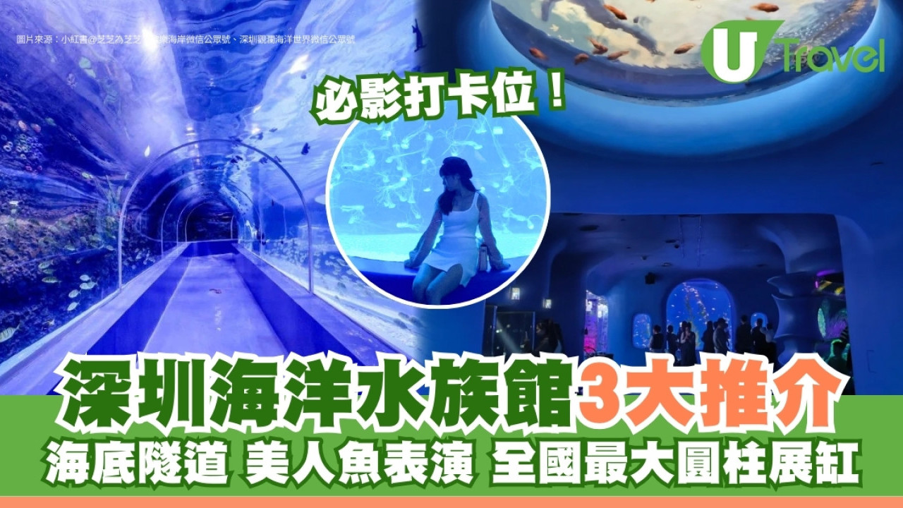 深圳水族館推介｜小梅沙、觀瀾海洋世界 60米海底隧道穿梭睇美人魚表演