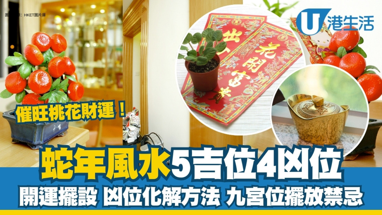 風水圖 玄機風水城--2025乙巳蛇年風水佈局
