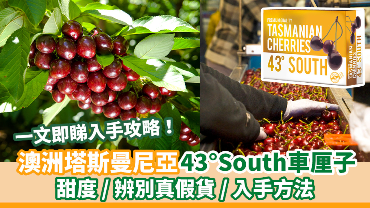 一文即睇入手攻略！澳洲塔斯曼尼亞43°South車厘子 甜度/辨別真假貨/入手方法