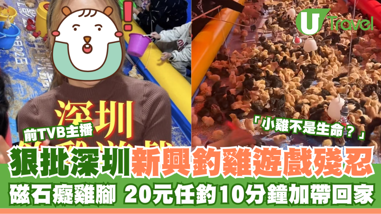 前TVB主播狠批深圳新興釣雞遊戲 20元任釣10分鐘仲可帶回家引網民熱議