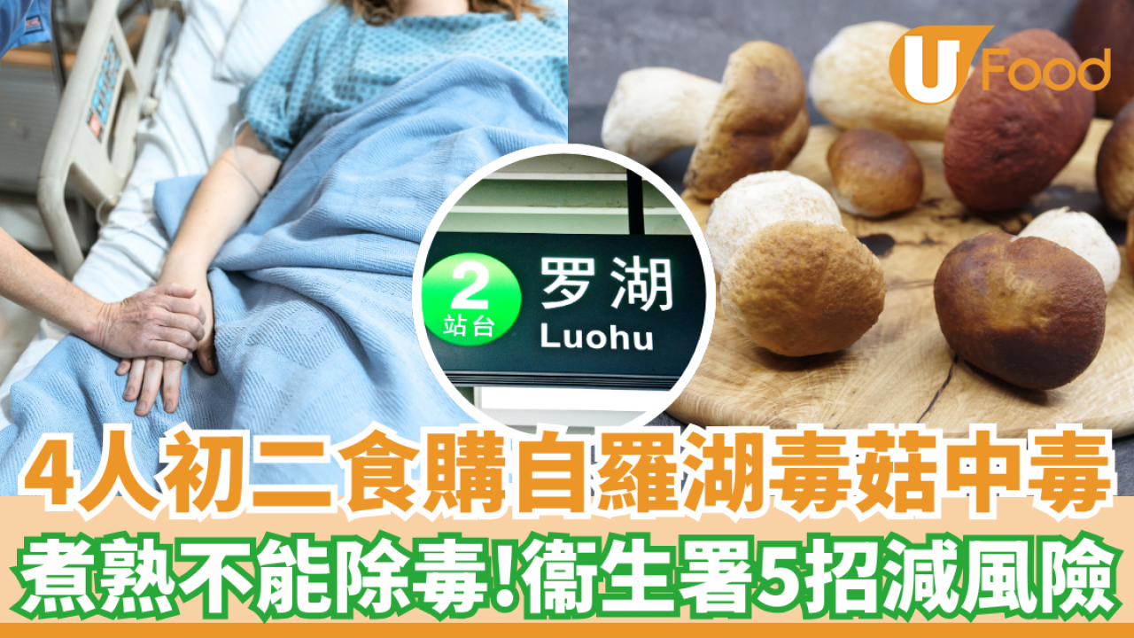 4人初二進食羅湖購入牛肝菌急性中毒 煮熟不能破壞毒素！衞生署5點減風險