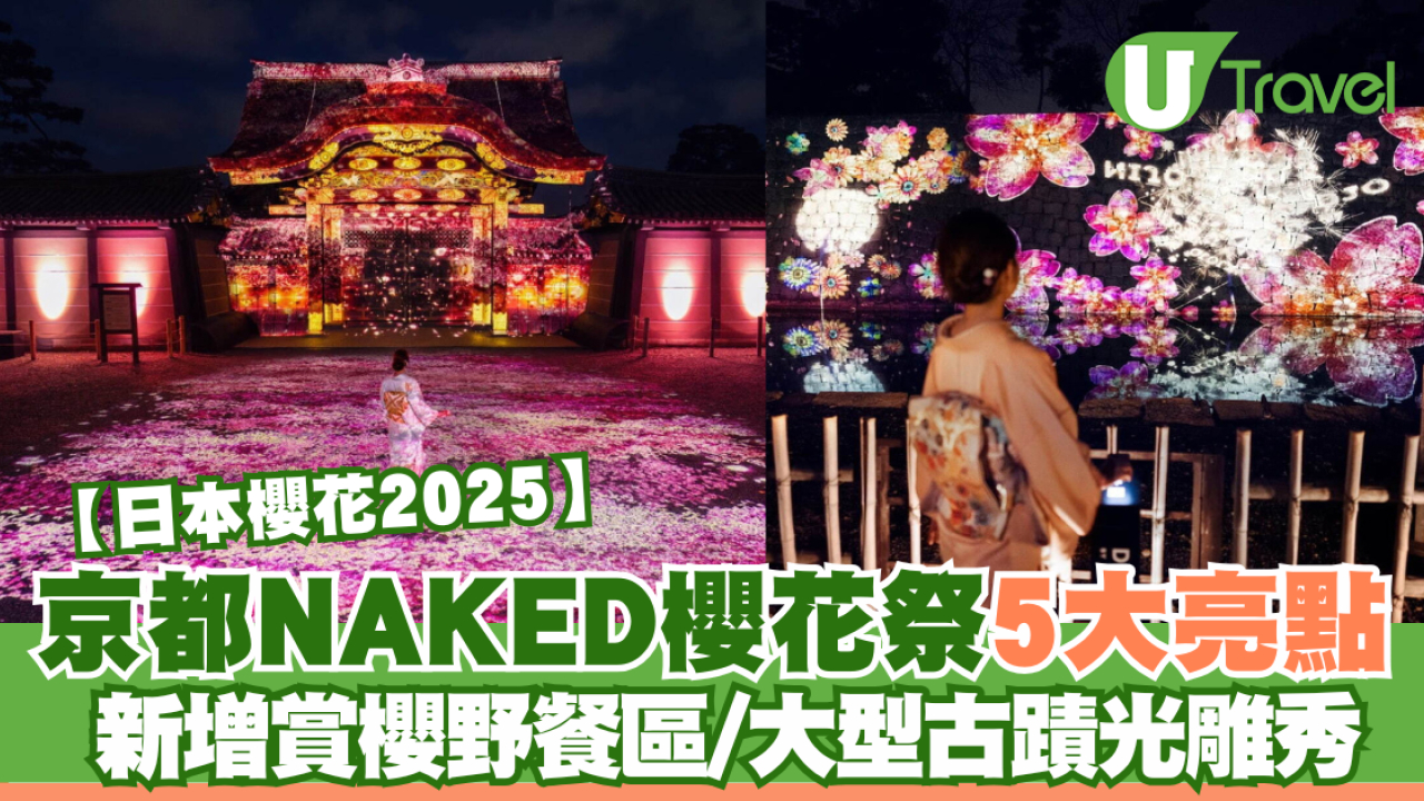 【日本櫻花2025】京都NAKED櫻花祭5大亮點率先看！新增賞櫻野餐區/大型古蹟光雕秀