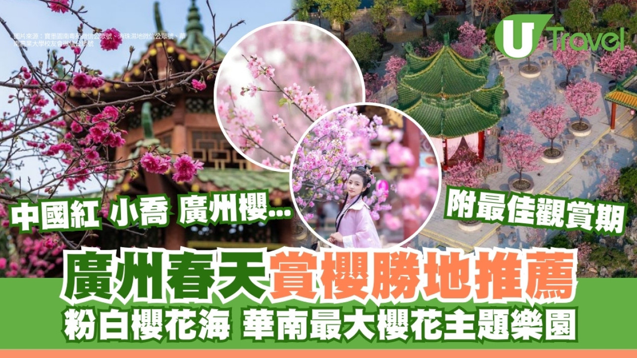 廣州櫻花｜賞櫻6大勝地推薦附最佳賞花期 華南最大櫻花主題樂園沉浸櫻花海