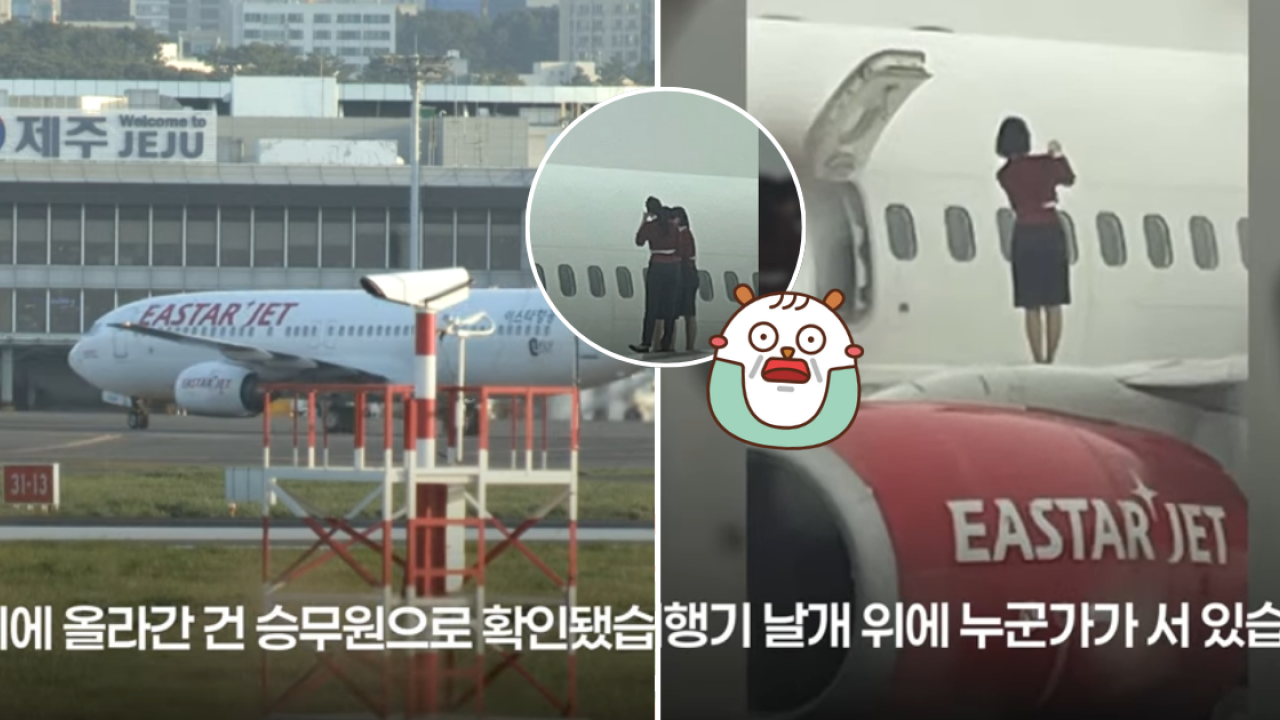 南韓空姐開緊急逃生門企機翼影相打卡！飛機乘客驚訝目擊 怒斥行為欠專業