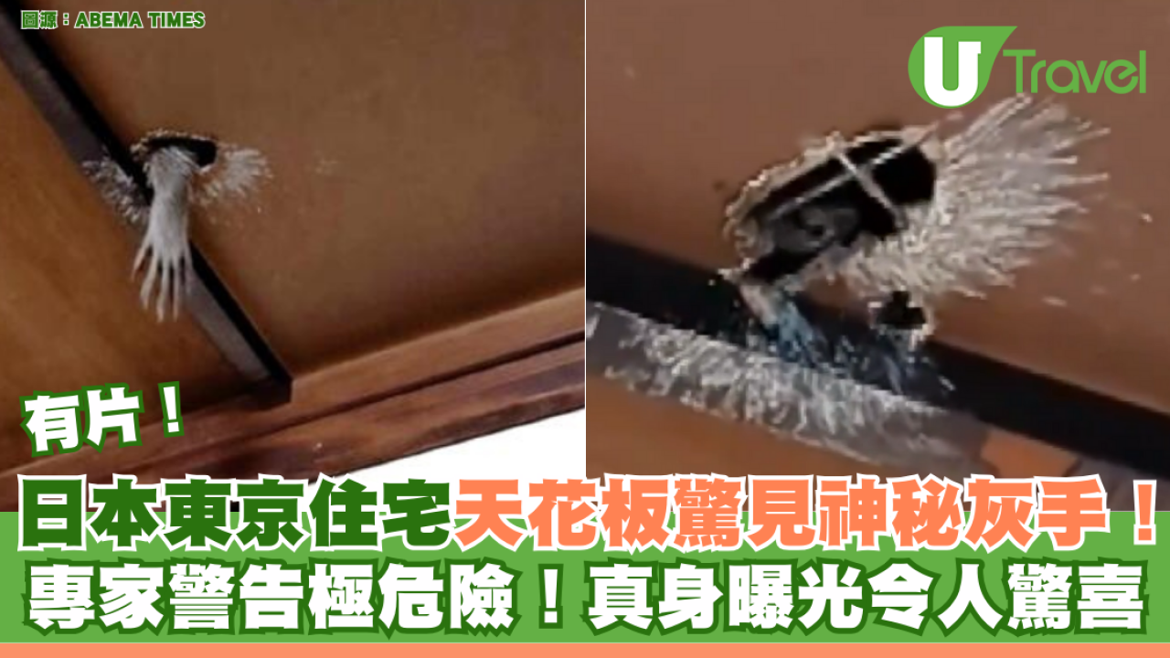 日本東京住宅天花板驚見神秘灰手！專家警告極危險！真身曝光令人驚喜