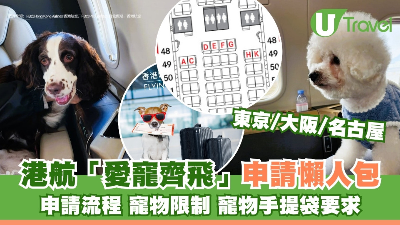 寵物旅遊申請懶人包︱香港航空寵物同機同艙飛日本 申請流程+收費+限制要求