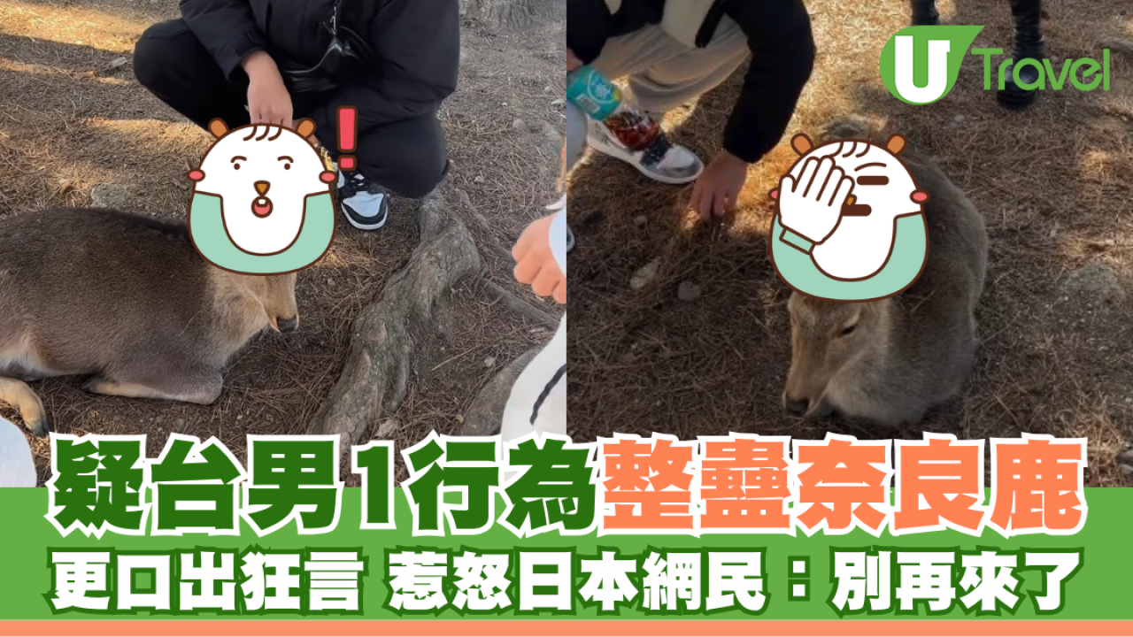 疑台男1行為整蠱奈良鹿 更口出狂言 惹怒日本網民：別再來了