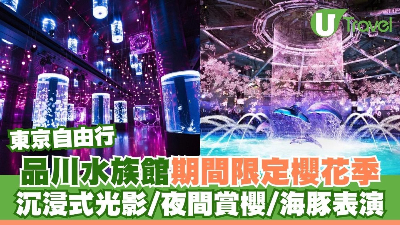 東京品川水族館櫻花季 光影藝術/夜間賞櫻/海豚表演(附門票/交通/預約方法)