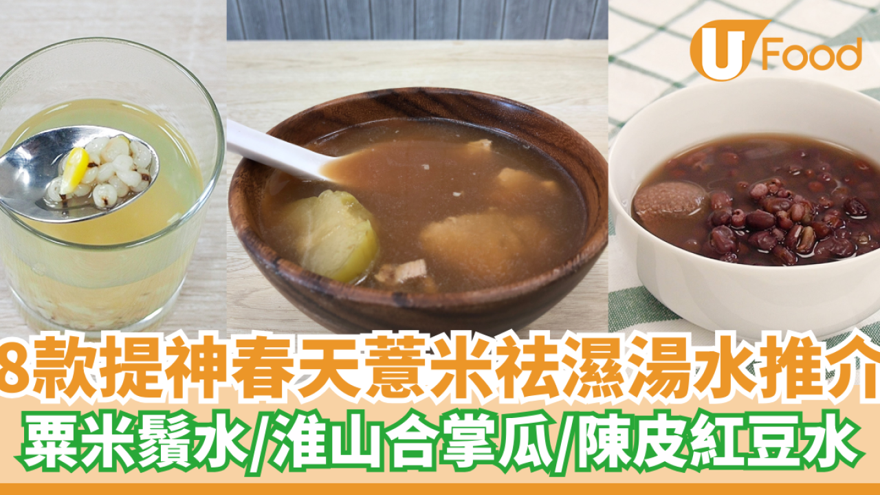 【薏米湯】濕氣疲勞一掃而空！8款提神春天薏米祛濕湯水推介　冬瓜薏米湯／赤小豆薏米湯／陳皮紅豆薏米水／合掌瓜淮山薏米湯
