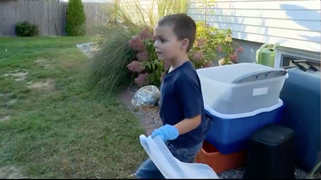 6歲男孩創業當「鏟屎官」 親力親為救助流浪貓狗