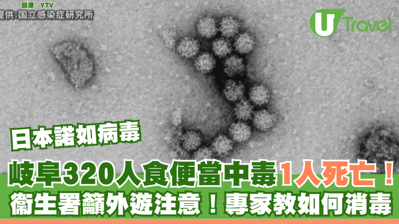 日本諾如病毒｜岐阜320人食便當中毒1人死亡！衞生署籲外遊注意！專家教如何消毒