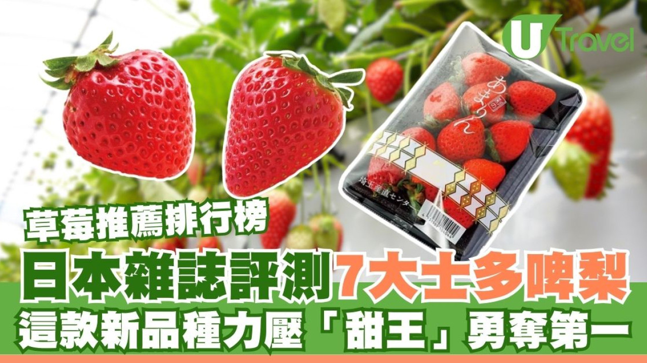 日本草莓推薦排行榜｜日媒評測7大士多啤梨！這款新品種力壓甜王勇奪第一