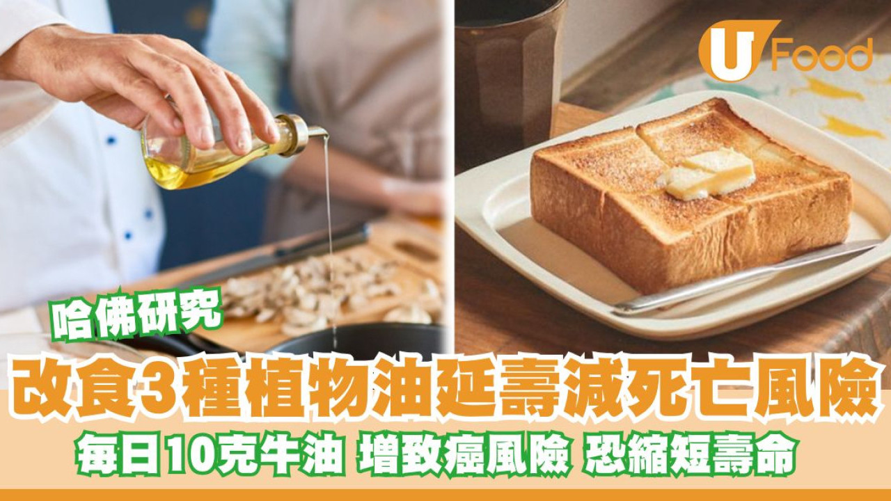哈佛研究揭長期食牛油恐縮短壽命！建議改食3種植物油助降死亡風險