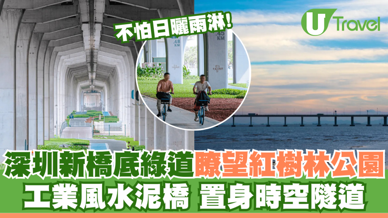 深圳新橋底綠道 打卡必去工業風水泥橋 一望無際紅樹林公園