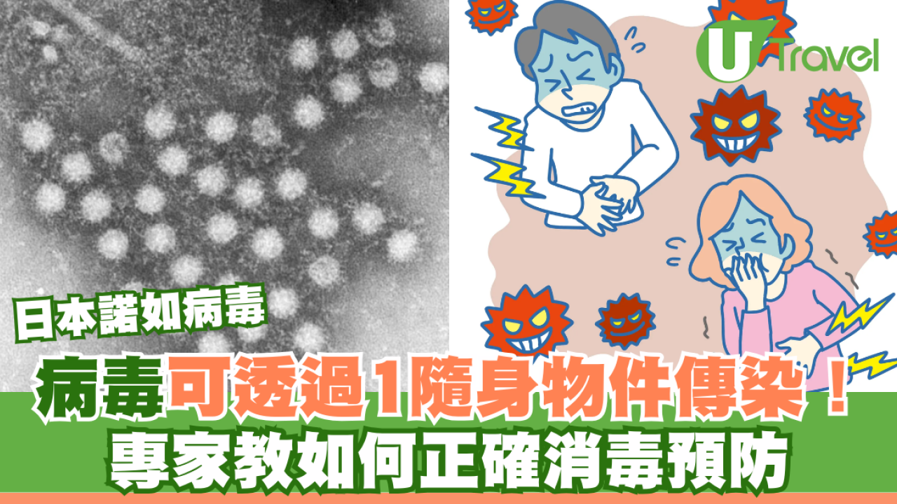 日本諾如病毒｜病毒可透過1隨身物件傳染！專家教如何正確消毒預防
