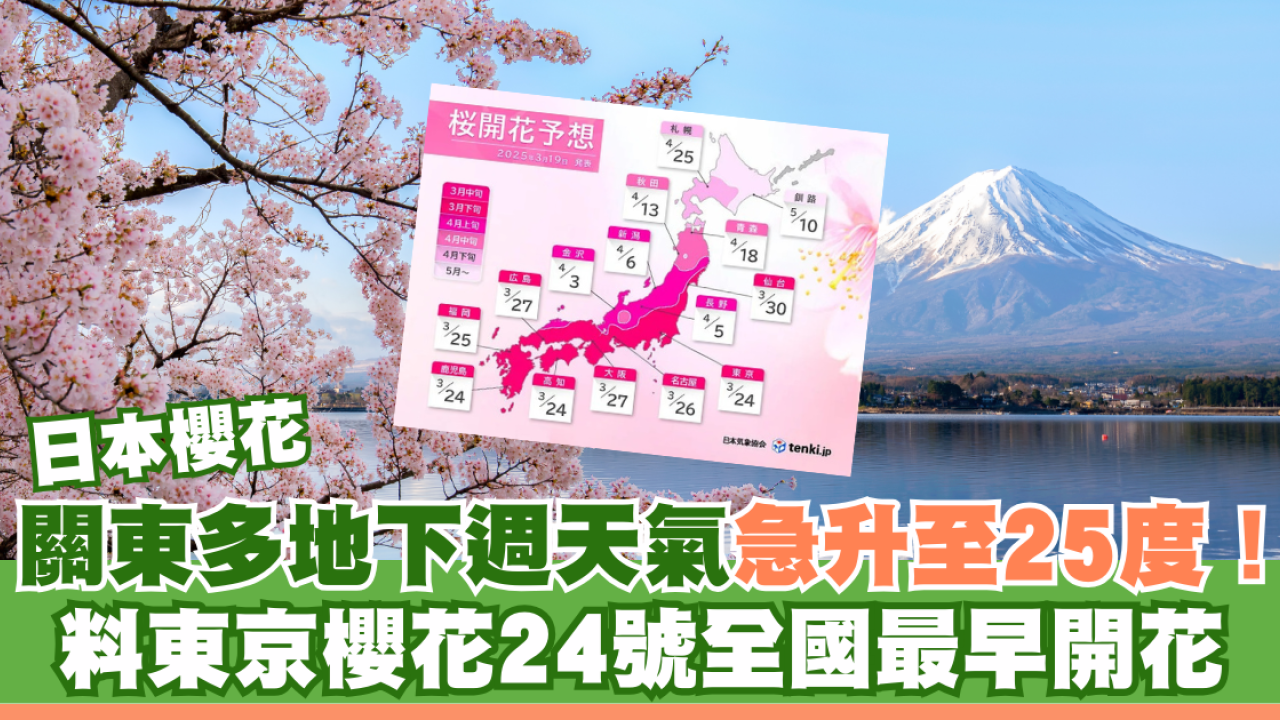 日本櫻花｜關東多地下週天氣急升至25度！ 料東京櫻花24號全國最早開花