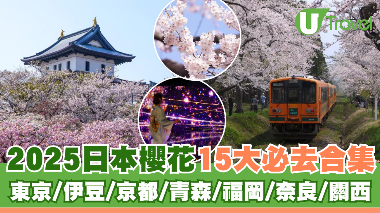 2025日本15大必去賞櫻景點！東京/伊豆/京都/青森/福岡/奈良/關西