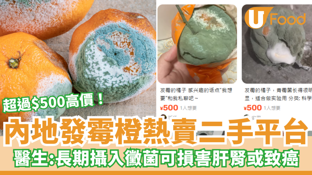 內地發霉橙熱賣二手平台炒至$500／醫生：長期攝入黴菌可損害肝腎或致癌