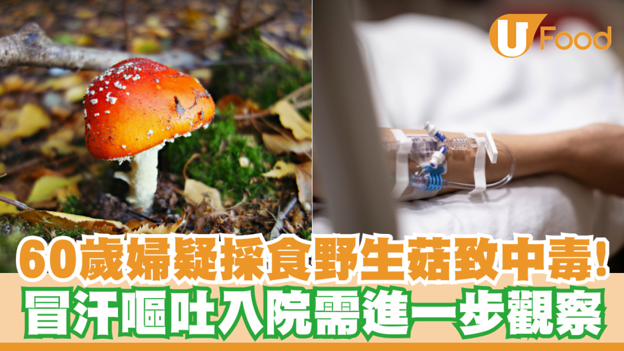 60歲婦疑採食野生菇致中毒！冒汗嘔吐入院需進一步觀察