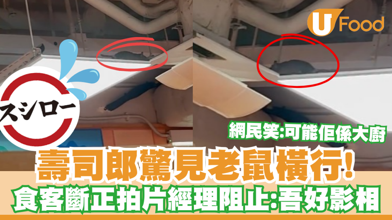 樂富壽司郎驚見老鼠橫行！食客斷正拍片經理阻止：吾好影相／店家跟進指......