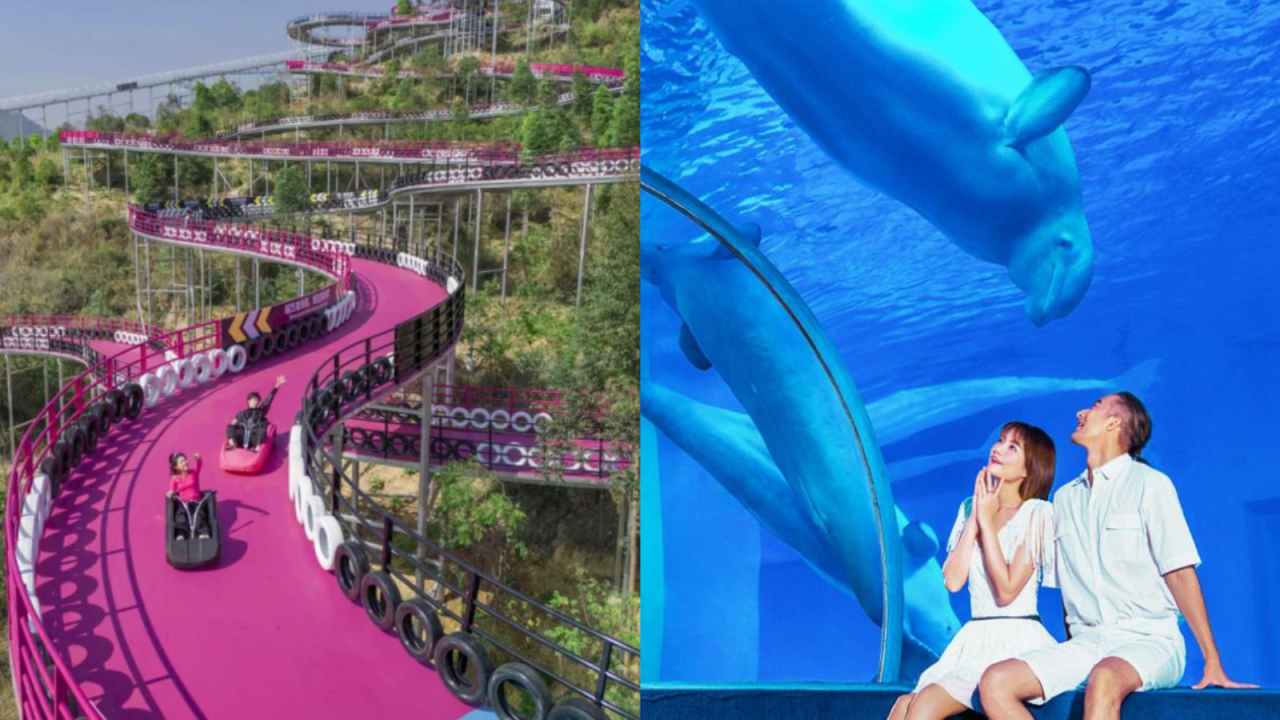 佛山廣州純玩三天團限時7折｜$799包盈香心動樂園/極地海洋世界/企鵝冰雪世界門票/2晚酒店/餐飲