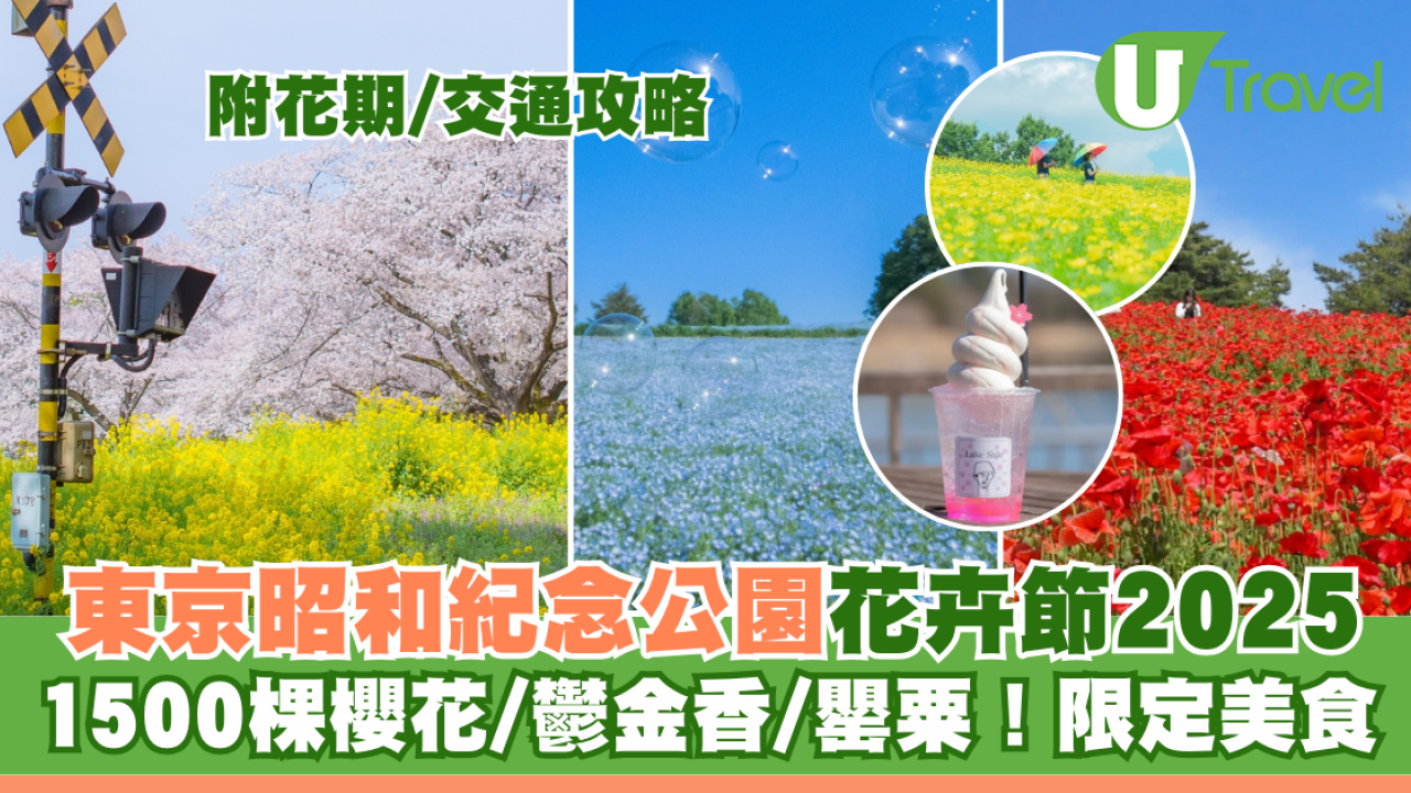 東京昭和紀念公園花卉節2025｜1500棵櫻花/鬱金香/罌粟！限定美食BBQ！附交通攻略