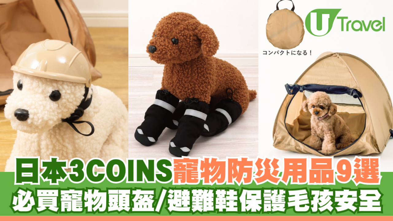 日本3COINS寵物防災用品9選！必買寵物頭盔/避難鞋全方位保護毛孩安全