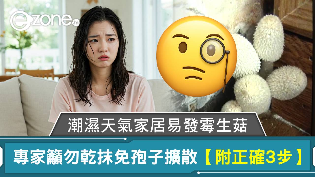 潮濕天氣家居易發霉生菇 專家籲勿乾抹免孢子擴散【專家教你正確3步】