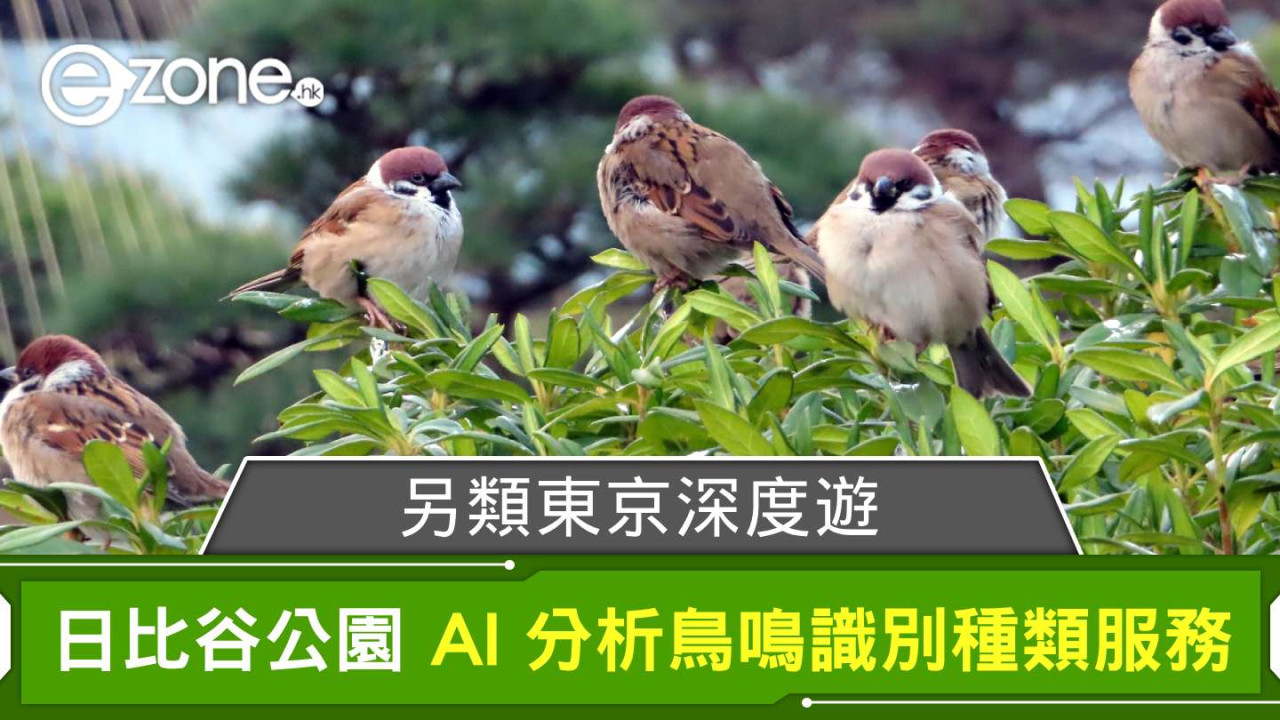 另類東京深度遊！日比谷公園推 AI 分析鳥鳴識別種類服務