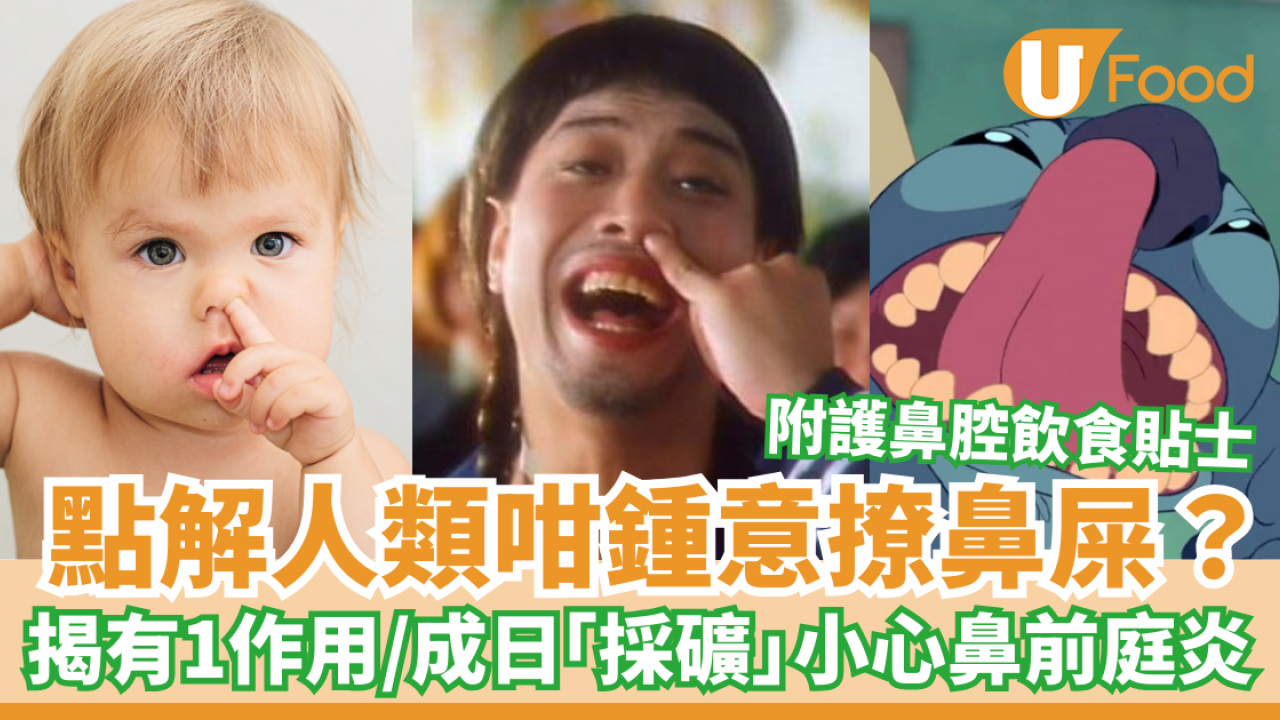 撩鼻屎｜為何人類總是想挖鼻孔？ 揭有1作用／常「採礦」增鼻前庭炎風險 附保護鼻腔飲食貼士