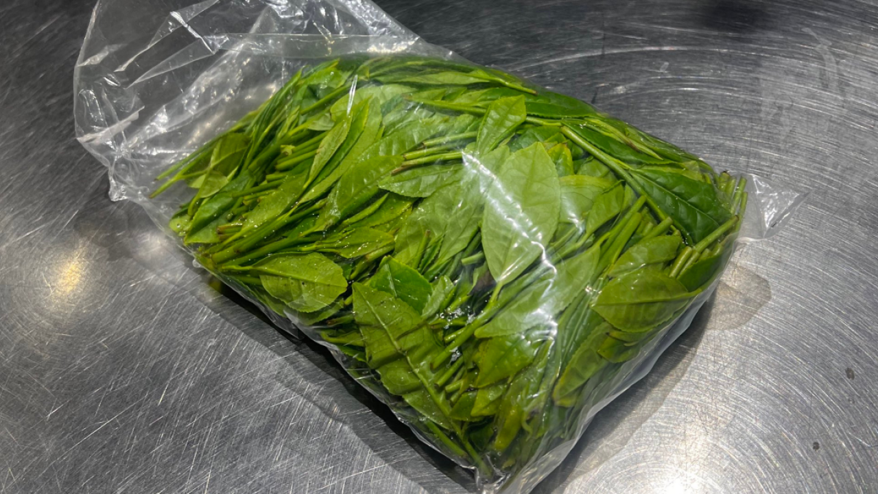 日女帶新鮮茶葉搭飛機被當一種違禁品 網民留言：看起來的確很可疑...