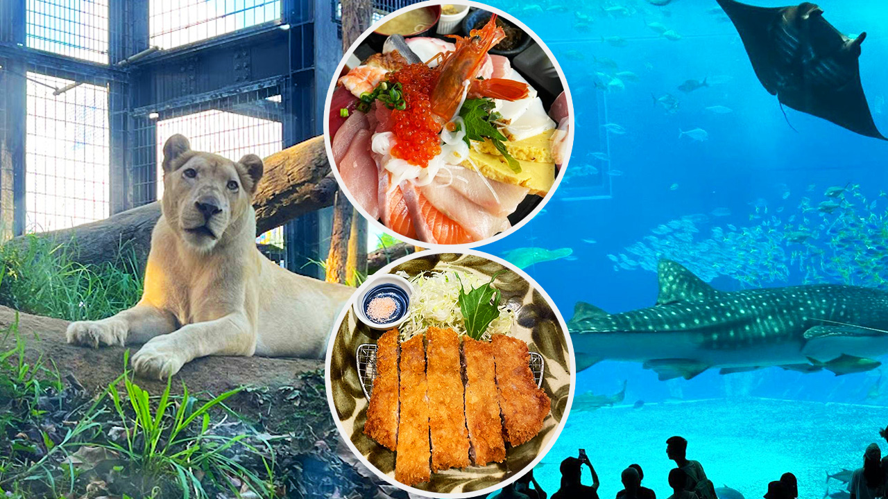 沖繩親子遊全攻略 | 必吃餐廳／掃街美食／兒童王國